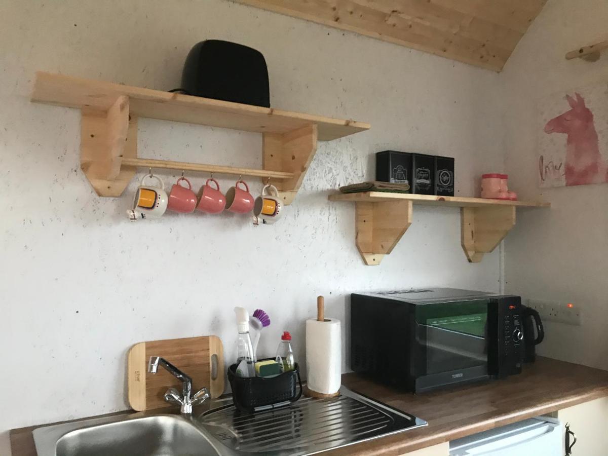 The Beautiful Lazy Llama Shepherd Hut Farm Stay バリシャノン エクステリア 写真