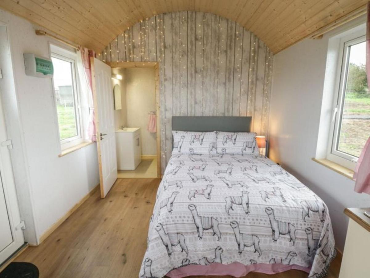 The Beautiful Lazy Llama Shepherd Hut Farm Stay バリシャノン エクステリア 写真