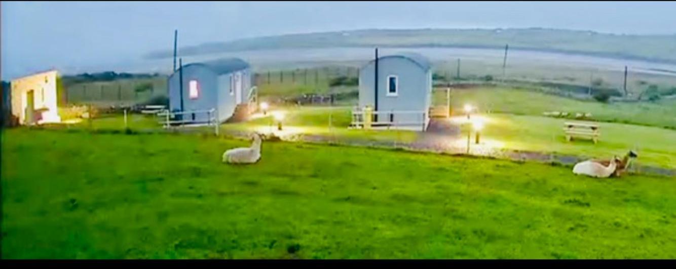 The Beautiful Lazy Llama Shepherd Hut Farm Stay バリシャノン エクステリア 写真